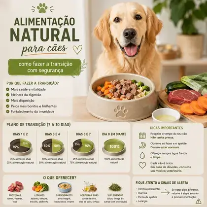 Alimentação natural para cães: como fazer a transição com segurança