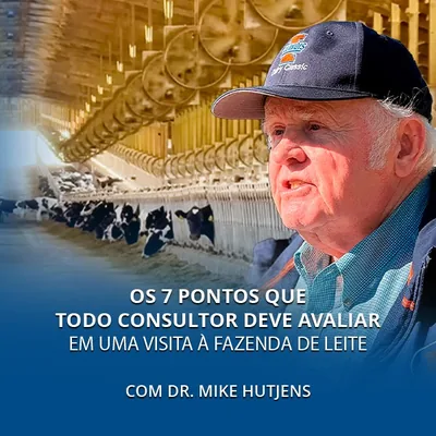 Capa de Os 7 Pontos que Todo Consultor Deve Avaliar em uma Visita à Fazenda de Leite