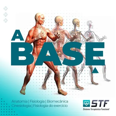 Capa de A Base: Anatomia, Fisiologia, Biomecânica e Cinesiologia na Prática