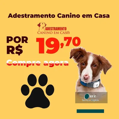 Capa de Adestramento Canino em Casa (Standard)