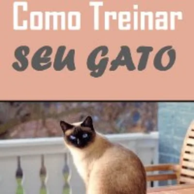 Capa de Adestramento Fácil de Gatos