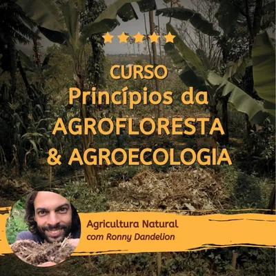 Capa de Agricultura Natural: Princípios da Agrofloresta e Agroecologia