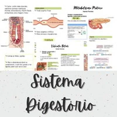 Capa de Apostila de Resumos do Sistema Digestório