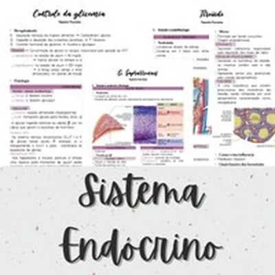 Capa de Apostila de Resumos do Sistema Endócrino