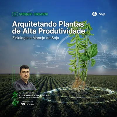 Capa de Arquitetando Plantas de Alta Produtividade: Fisiologia e Manejo da Soja