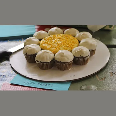 Capa de Bolos, Doces e Guloseimas para Cães
