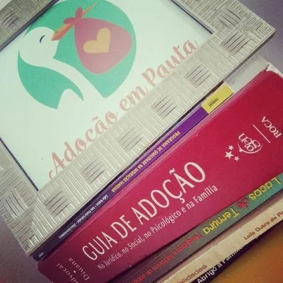Capa de Caminhos para uma Adoção Consciente: Programa Completo
