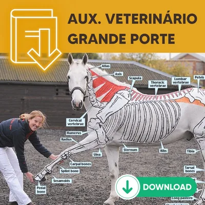 Capa de ClickBook: Ebooks Adicionais para Cães e Pets