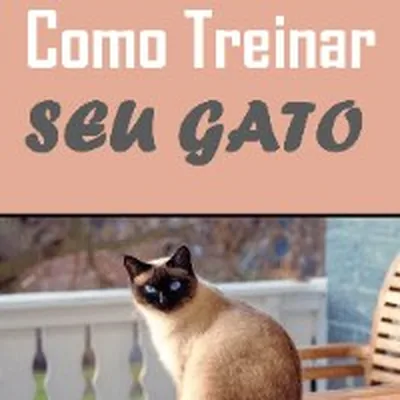 Capa de Como Adestrar Seu Gato
