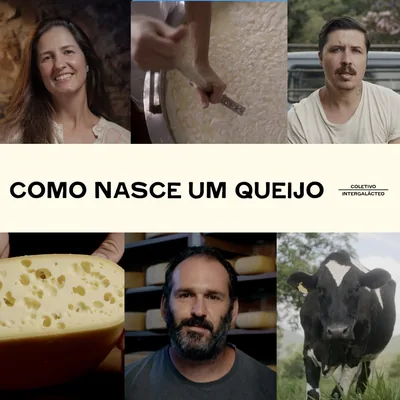 Capa de Como Nasce um Queijo