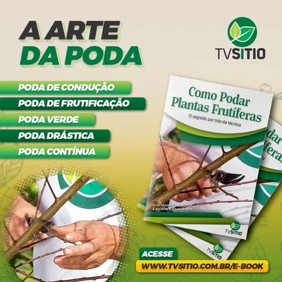 Capa de Como Podar Plantas Frutíferas