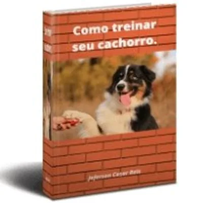 Capa de Como Treinar seu Cachorro: Guia Rápido