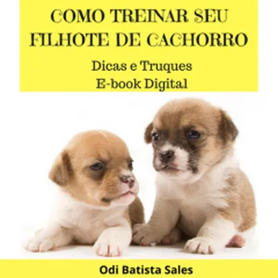 Capa de Como Treinar seu Filhote de Cão