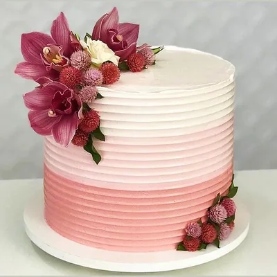 Capa de Confeitaria Blindada