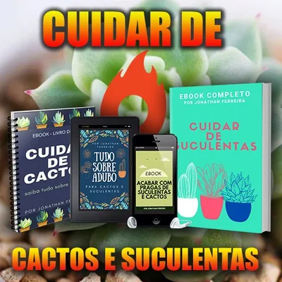 Capa de Cuidar de Suculentas e Cactos: 4 Guias Digitais