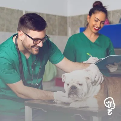 Capa de Curso de Auxiliar Veterinário