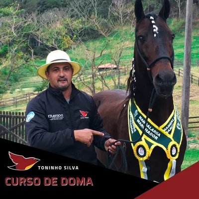 Capa de Iniciação dos Comandos Básicos e Doma de Cavalos