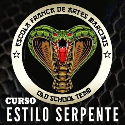 Capa de Curso Completo de Kung Fu Estilo Serpente