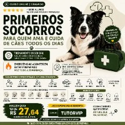 Capa de Curso Online de Primeiros Socorros para Cães