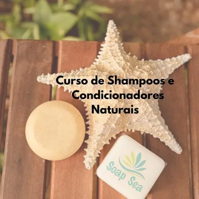 Capa de Curso de Shampoos e Condicionadores Naturais