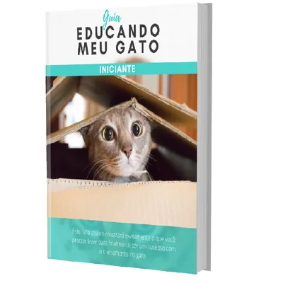 Capa de Guia Educando Meu Gato