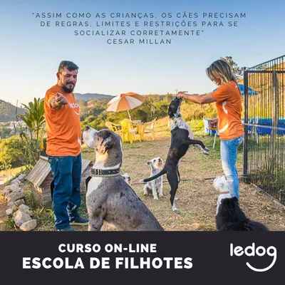Capa de Escola de Filhotes