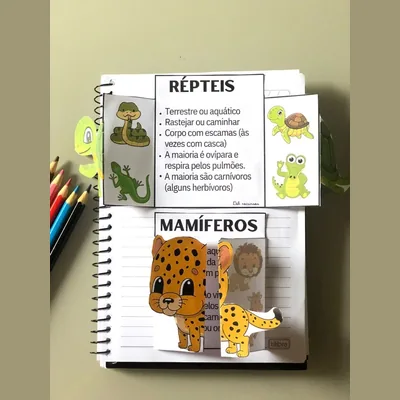 Capa de Ficha Interativa dos Animais Vertebrados