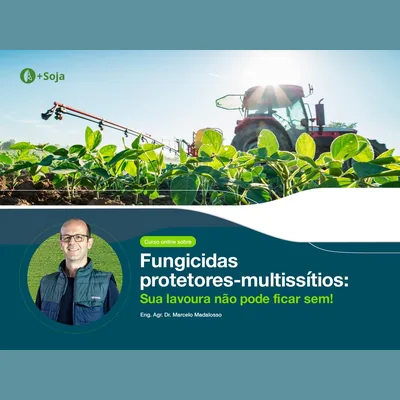 Capa de Fungicidas Protetores Multissítios: Sua Lavoura Não Pode Ficar Sem