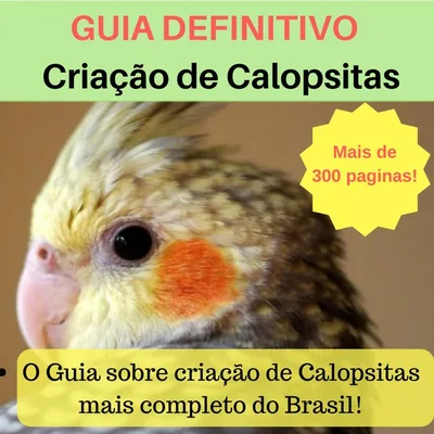 Capa de Guia Definitivo: Criação de Calopsitas