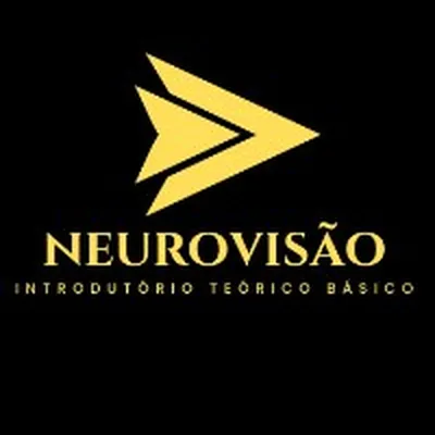 Capa de Introdutório Teórico Básico de Neurovisão