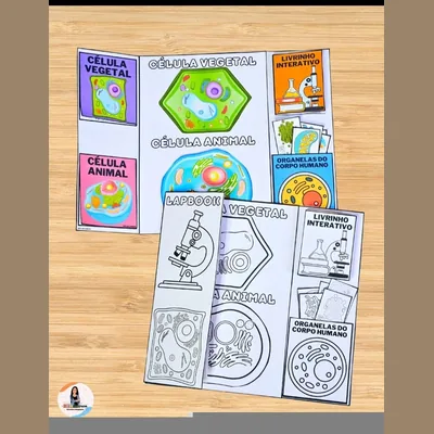 Capa de Lapbook Célula