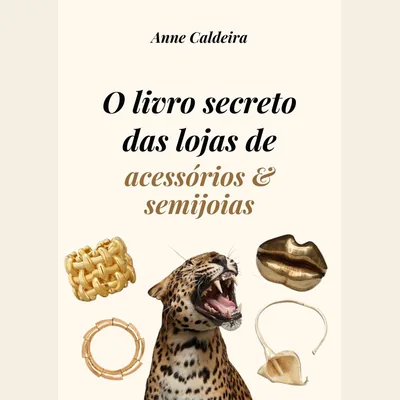 Capa de O Livro Secreto das Lojas de Acessórios e Semijoias