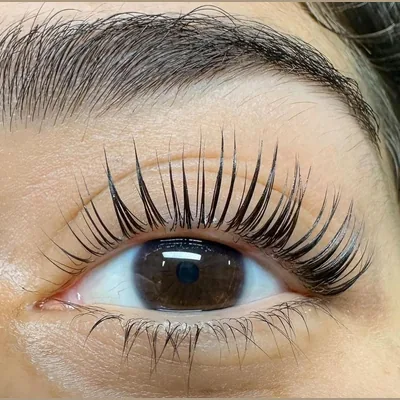 Capa de Master Lash e Brow