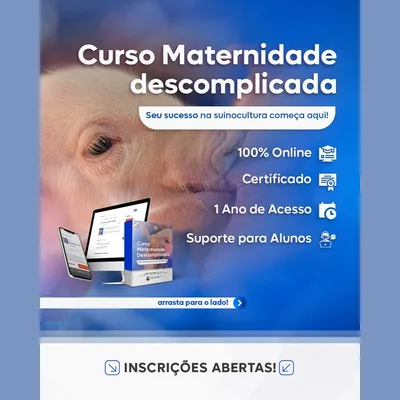 Capa de Maternidade Descomplicada