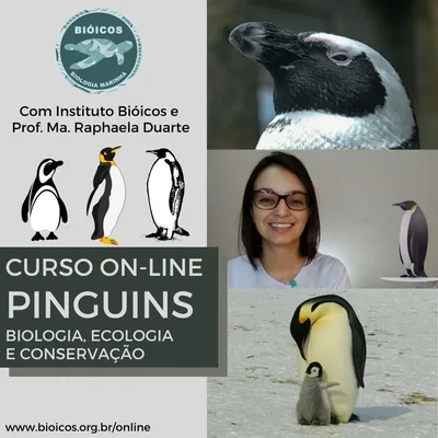 Capa de Pinguins EAD: Biologia, Ecologia e Conservação