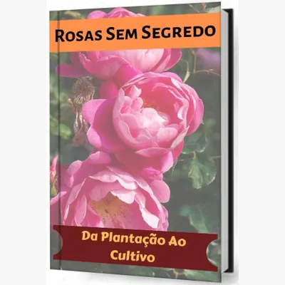 Capa de Rosas Sem Segredo